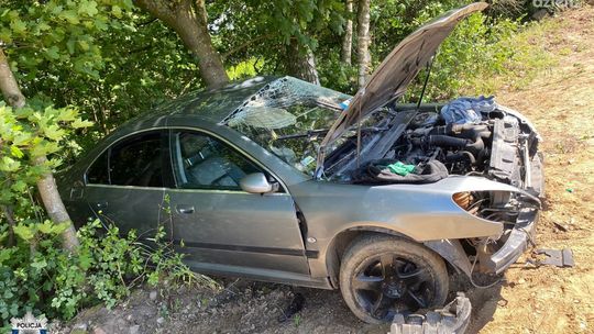 19-latek bez prawa jazdy uderzył w drzewo, pasażerka pod wpływem alkoholu