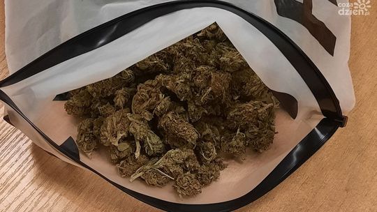 2 mężczyzn w rękach policji. Mieli przy sobie narkotyki