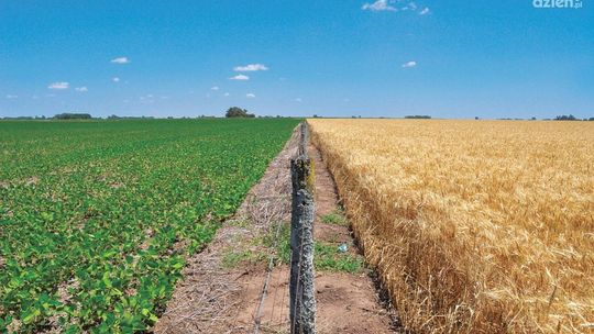 239 zarzutów dla kombinatora z Czerwińska