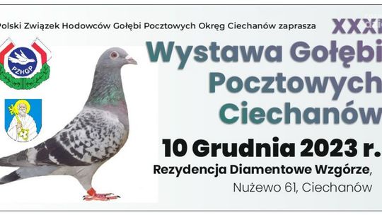 31 Wystawa Gołębi Pocztowych - zbiórka charytatywna dla Antoniego Tomczaka