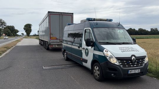 Kontrola drogowa ciągnika siodłowego z naczepą na drodze krajowej numer 10 pod Sierpcem – kierowca bez uprawnień