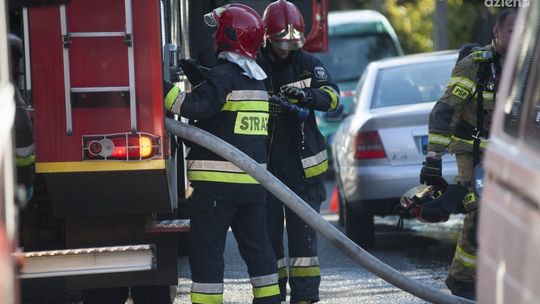 64 tysiące zaduszonych pisklaków w Kosinach