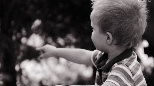 9 listopada – Międzynarodowy Dzień Adopcji na Mazowszu