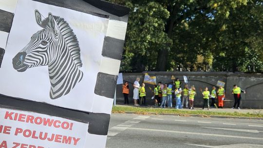 Akcja „Kierowco! Nie polujemy na zebrach”