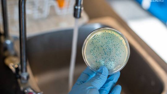 [Aktualizacja 29.07.] Woda zdatna do picia bez przegotowania/ (21.07.) Bakterie Escherichia coli wykryto w wodzie z ujęcia Mosaki gm. Krasne, pow. przasnyski 