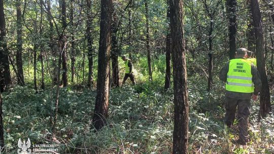 Żołnierze WOT szukają w lesie szczątków drona