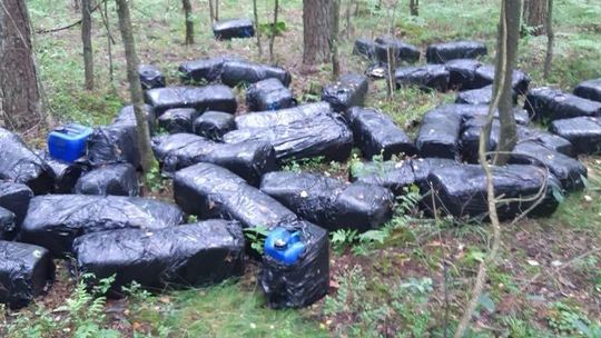 Porzucone pojemniki w lesie w gminie Jednorożec, zabezpieczone przez policję.