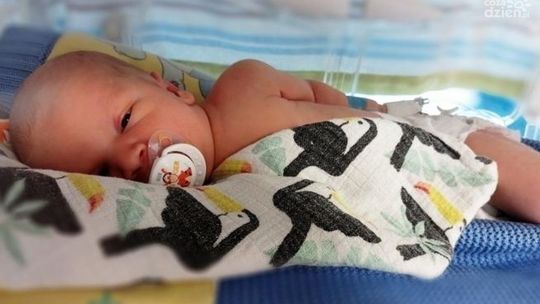 Antoś potrzebuje naszej pomocy! Trwa zbiórka pieniędzy dla chłopczyka z gminy Gołymin-Ośrodek