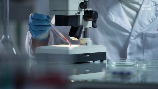 Apel Mazowsza: Więcej testów to większe bezpieczeństwo