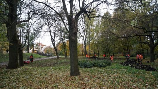 Będzie inaczej, będzie stylowo. Metamorfoza parku nad Łydynią