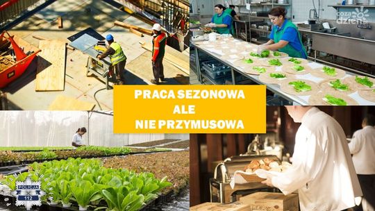 Bezpieczna praca sezonowa za granicą