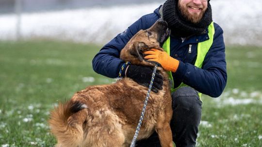 Bohaterowie DogPawLove - wolontariusze ze Schroniska dla Bezdomnych Zwierząt w Pawłowie [Zdjęcia]