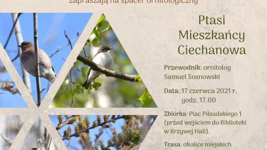 Chcecie spróbować szczęścia z legendarnym bączkiem?