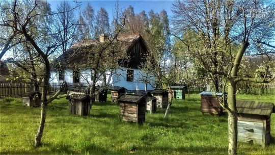 Chodzenie po oborniku, kąpiele nago - czyli o dawnych wielkanocnych zwyczajach Mazowsza