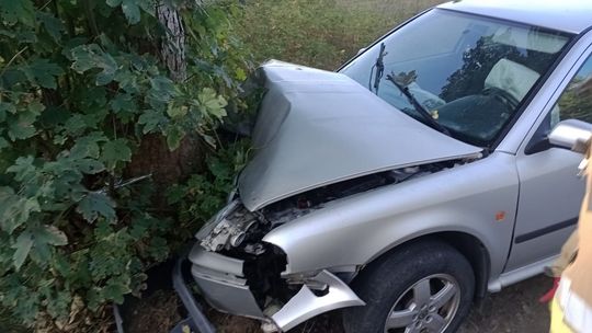 Chotum. Kierowca uderzył osobówką w drzewo, dziecko trafiło do szpitala