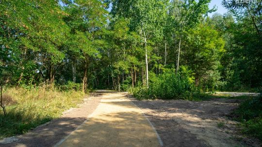 Ciechanów. Miasto rozbudowało ścieżki na Krubinie