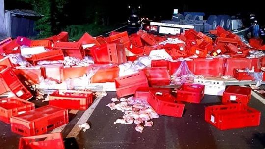 Ciemniewo. Tysiące kurczaków na drodze, ciężarówka w rowie (zdjęcia)