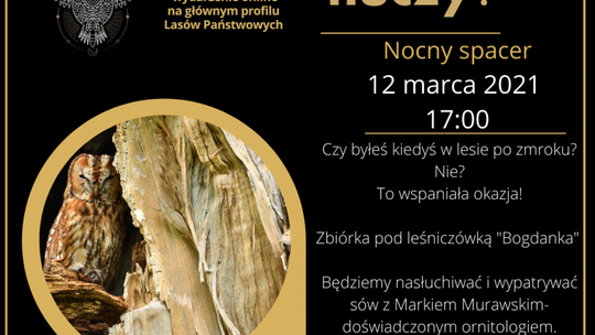 Co w lesie huczy? Nadleśnictwo Ciechanów zaprasza na nocy spacer