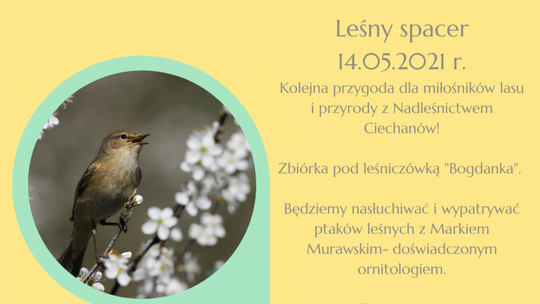 Co w lesie śpiewa?- przekonaj się!