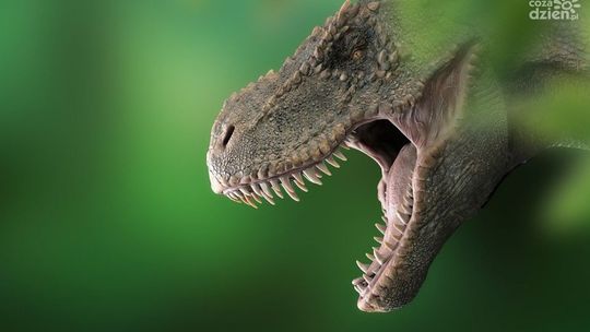 Dinozaury w Park Nauki Torus!