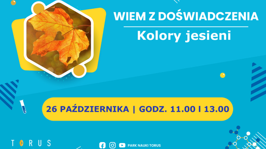 Dlaczego liście spadają? Dzieci znajdą odpowiedź na tych warsztatach