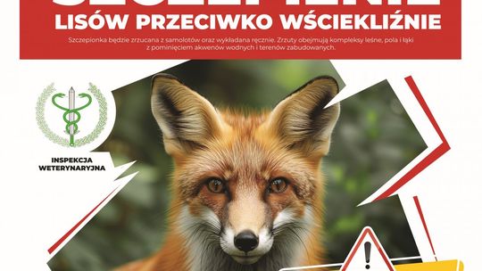 Dodatkowe szczepienia lisów na Mazowszu
