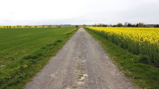 Dojazdówki do pól w subregionie ciechanowskim przejdą modernizacje (lista zadań)
