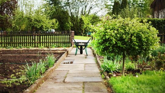 Dotacje dla Rodzinnych Ogrodów Działkowych