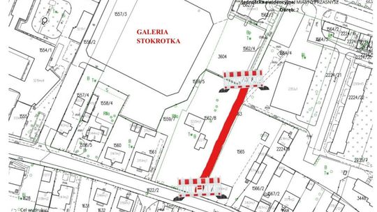 Drzewa mogą się przewrócić. Zamknięto drogę wewnętrzną