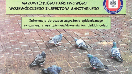 Dzikie ptactwo może przenosić zarazki i pasożyty, a tym samym choroby. Inspektor sanitarny ostrzega