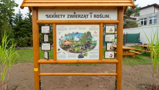 EduLandia przy SP nr 4 już otwarta!