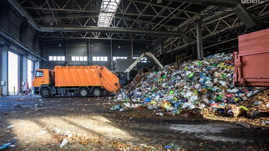 Ekologiczna odpowiedzialność biznesu: Jak profesjonalne doradztwo środowiskowe może pomóc twojej firmie?"