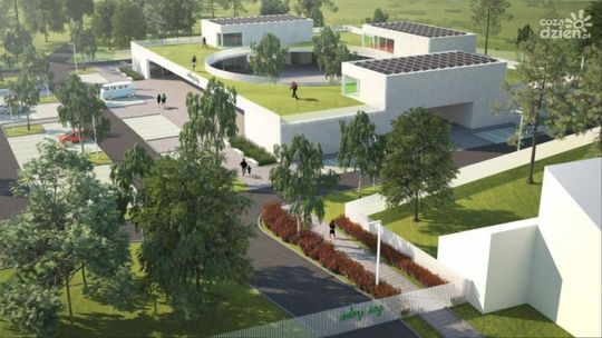 Ekologiczna rewolucja w Ciechanowie - ‘Zielony Targ’ otwiera drzwi dla lokalnych przedsiębiorców