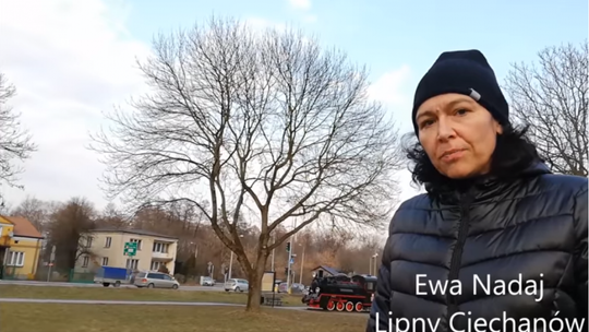 Ewa Nadaj: Tego pięknego jesionu pewnie nie uda się obronić przed siekierą