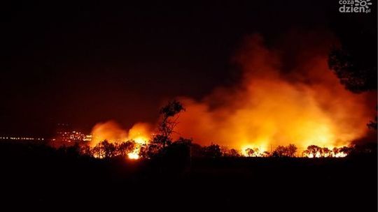 Groźny pożar pod Mławą, spłonęła stodoła