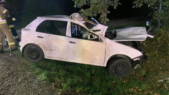 Groźny wypadek pod Ciechanowem. Osobówka zderzyła się z łosiem