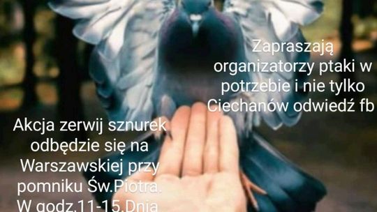II edycja akcji Zerwij Sznurek