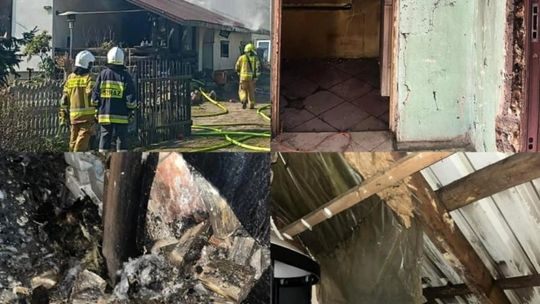 Trochę nadziei po wielkim ogniu: każdy gest ma teraz znaczenie