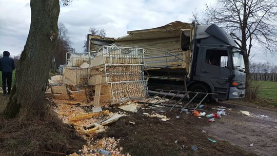 Jajecznica w rowie. Za kierownicą ciężarówki mieszkaniec powiatu ciechanowskiego