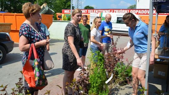Kolejna eko-akcja w Ciechanowie. Miasto rozda zadzonki za elektrośmieci!