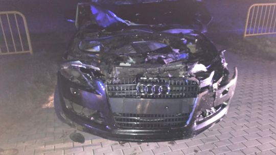 Kolejny wypadek z udziałem łosia w powiecie ciechanowskim