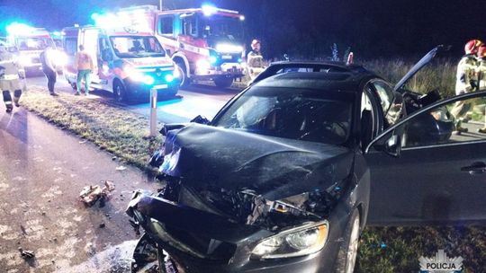 Kolizja z łosiem i tragedia na drodze – 7 rannych pod Ciechanowem