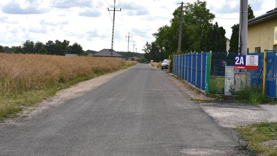 Kolonijna wyrównana i utrwalona