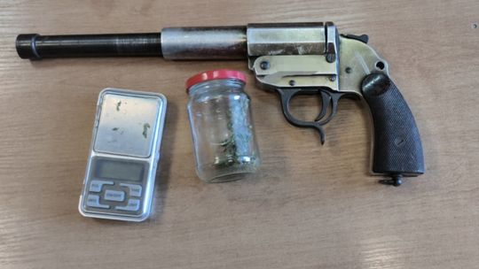 Koniec rodzinnej "plantacji". Policja złapała 17-latka z marihuaną i matkę z półtorametrowym krzewem