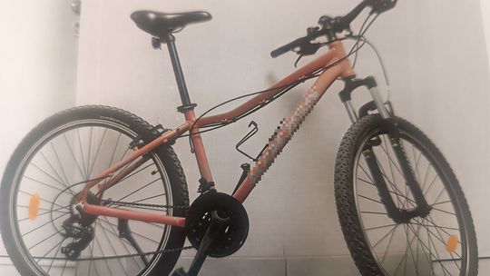 Kradzież roweru przy szkole w Pułtusku: sprawca miał 3 promile i usłyszał już zarzuty