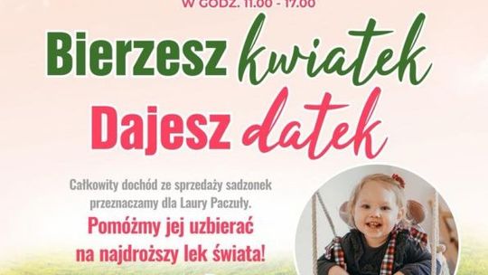 Kup kwiatek pomóż Laurze!