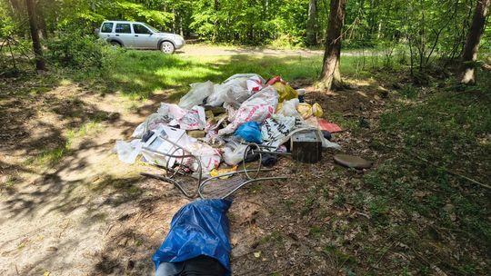 Wielka sterta śmieci w lesie na terenie Nadleśnictwa Ciechanów.