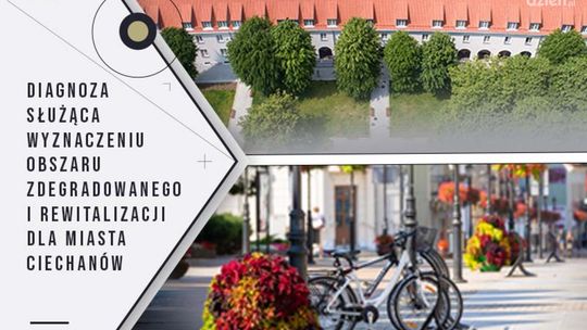 Mają na celu stworzenie szczegółowej diagnozy obszaru rewitalizacji