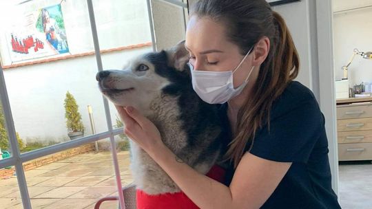 Małgorzata Tyl-Starzyk - pani doktor naszych przyjaciół 