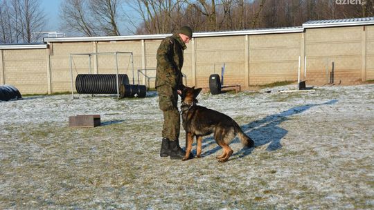 Mazowiecka Brygada Obrony Terytorialnej
rozpoczyna program „GPR K9 WOT”